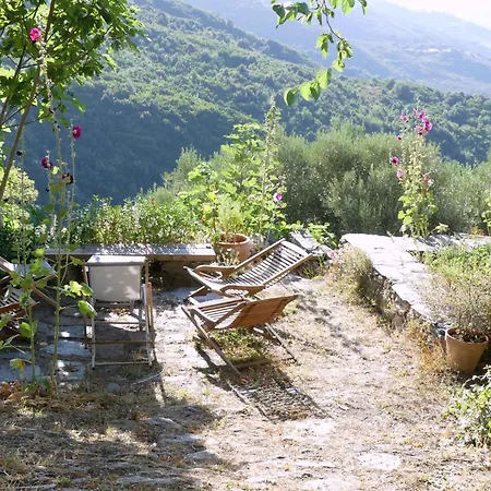 Cicendolle Vallecalle