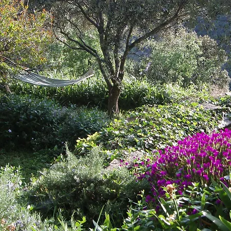 Bed & Breakfast Cicendolle
