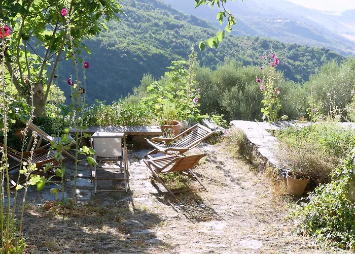 Cicendolle Vallecalle