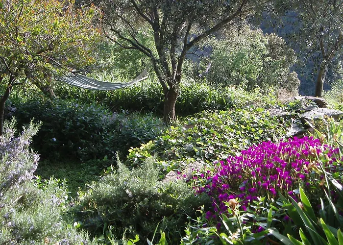 Bed and breakfast Cicendolle