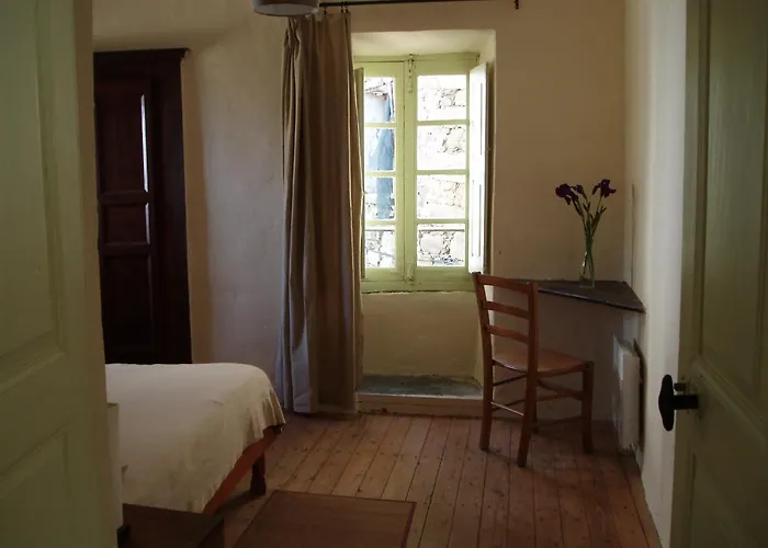 Cicendolle Vallecalle